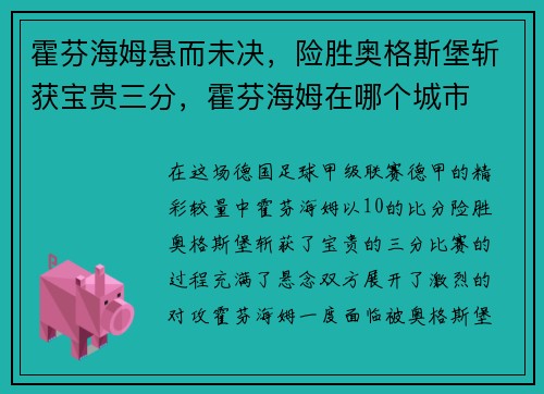 霍芬海姆悬而未决，险胜奥格斯堡斩获宝贵三分，霍芬海姆在哪个城市